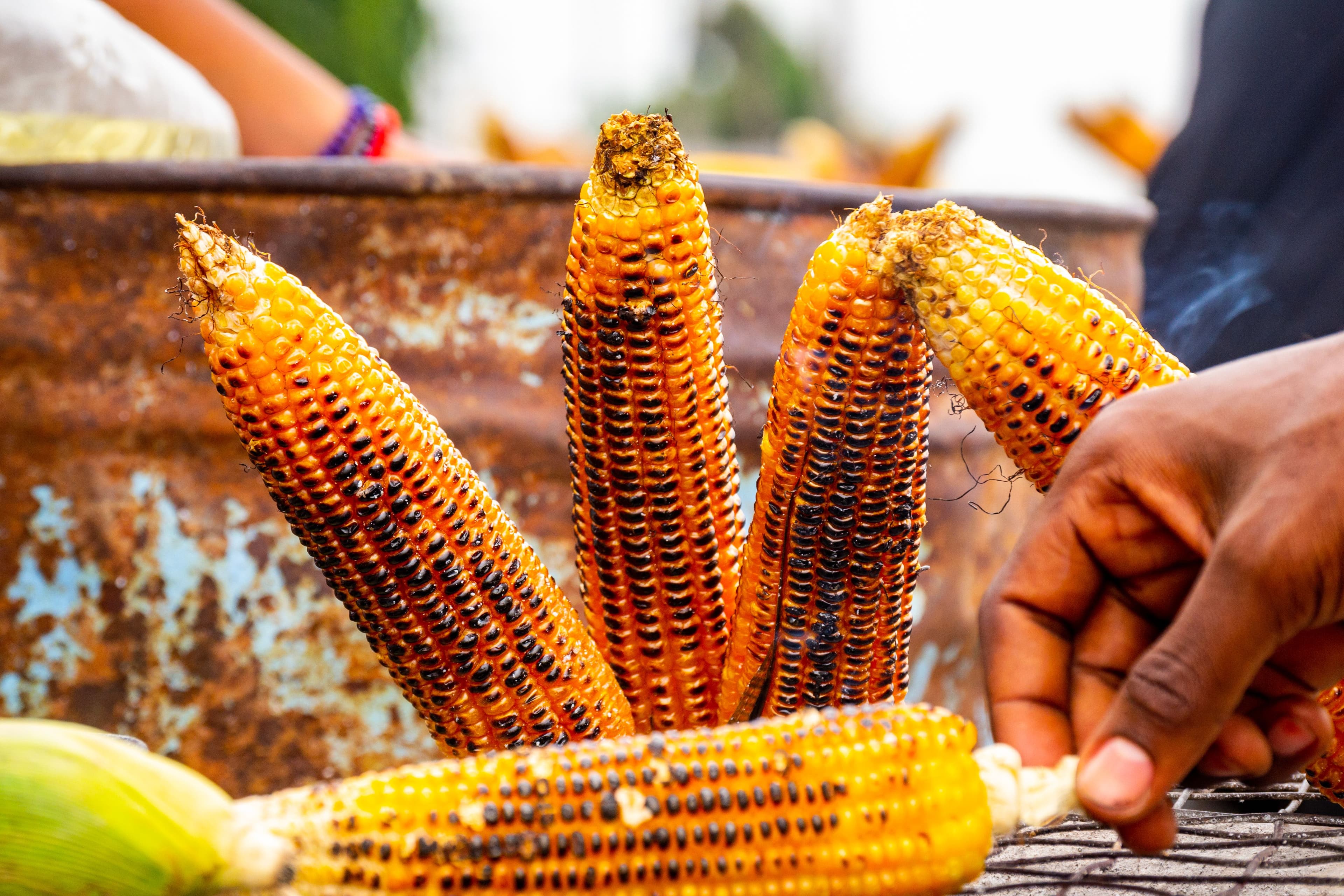 Photo illustrant le pôle Transformation agroalimentaire