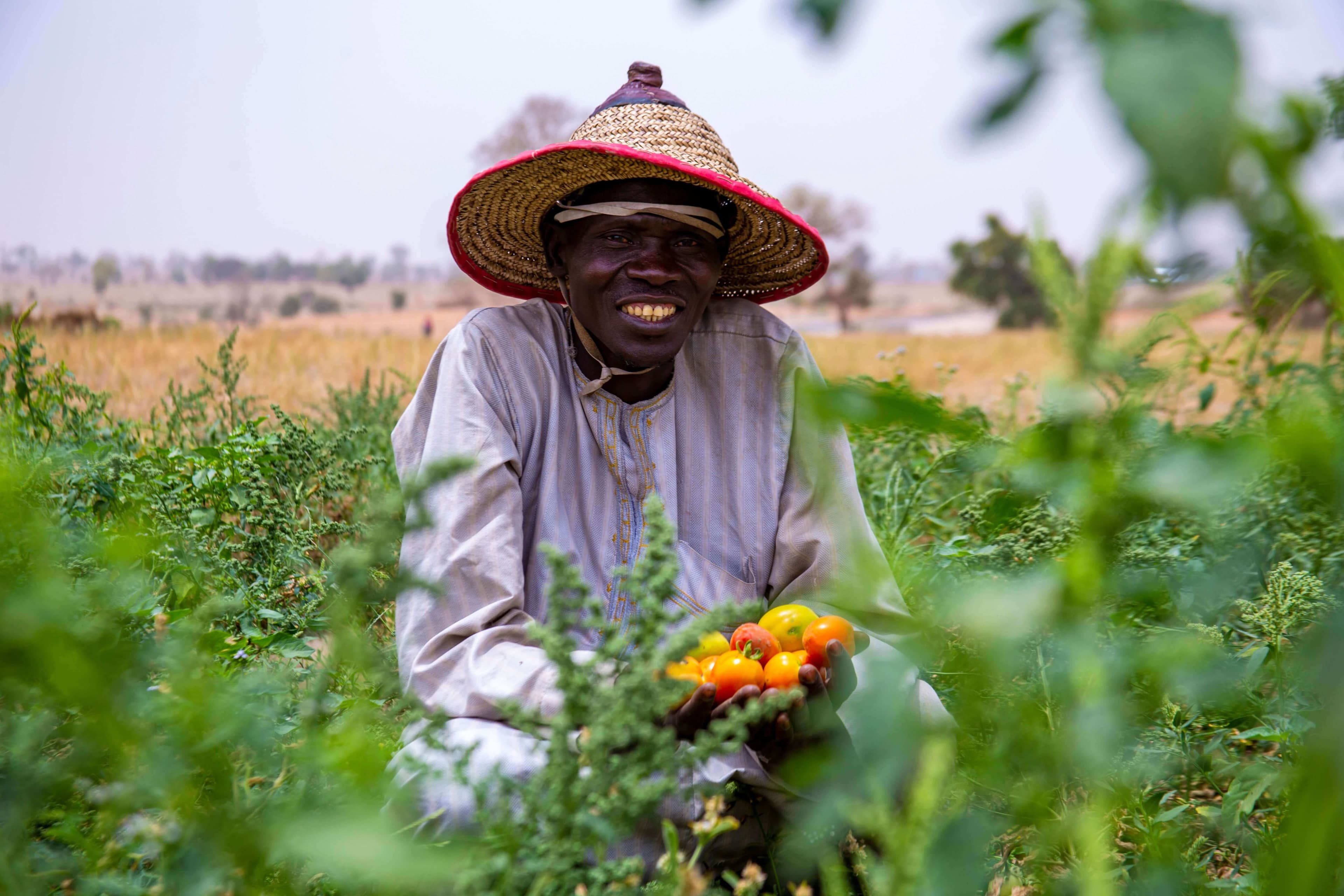 Photo illustrant le pôle Cultures vivrières & maraîchage